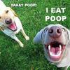 94429 - Popular Funny LOL Pictures - 40