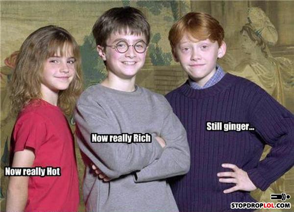 Stillginger