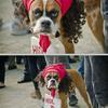 91048 - Popular Funny LOL Pictures - 37