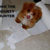 74905 - Popular Funny LOL Pictures - 32