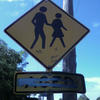 5282 - Stop Drop LOL
