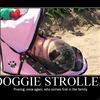 14814 - Unmoderated Funny LOL Pictures - 1