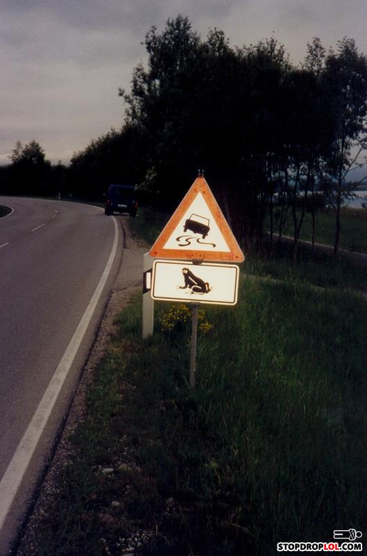 Scan0116b