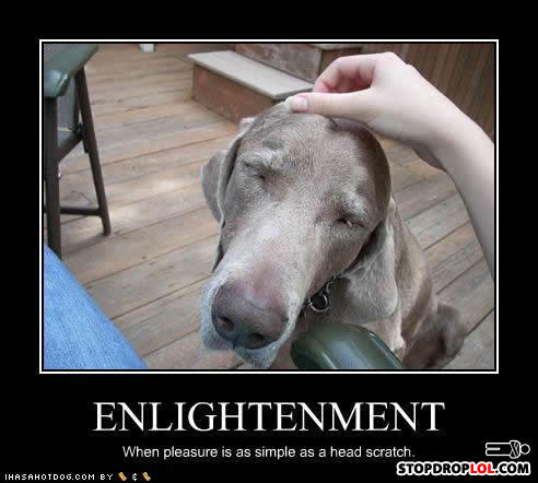 Funny-dog-pictures-enlightenment-scratch_1_