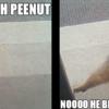 18775 - Unmoderated Funny LOL Pictures - 8