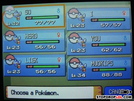 Mudkip-squad