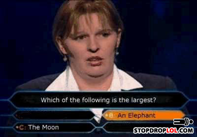 Stupid_idiot