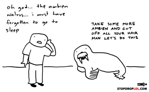 Ambien-walrus-says-lets-do-this