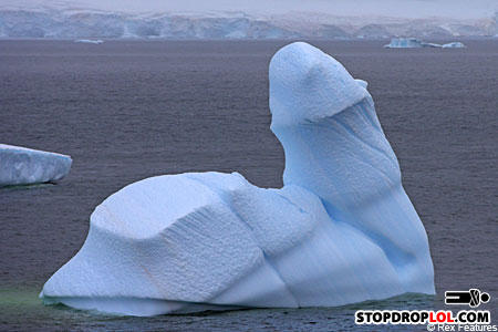 Icebergrex_450x300