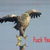 29757 - Unmoderated Funny LOL Pictures - 25