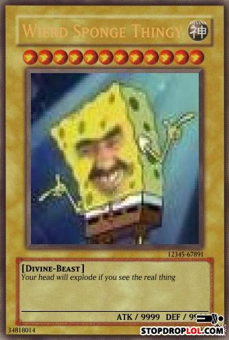 Sponge_thingy
